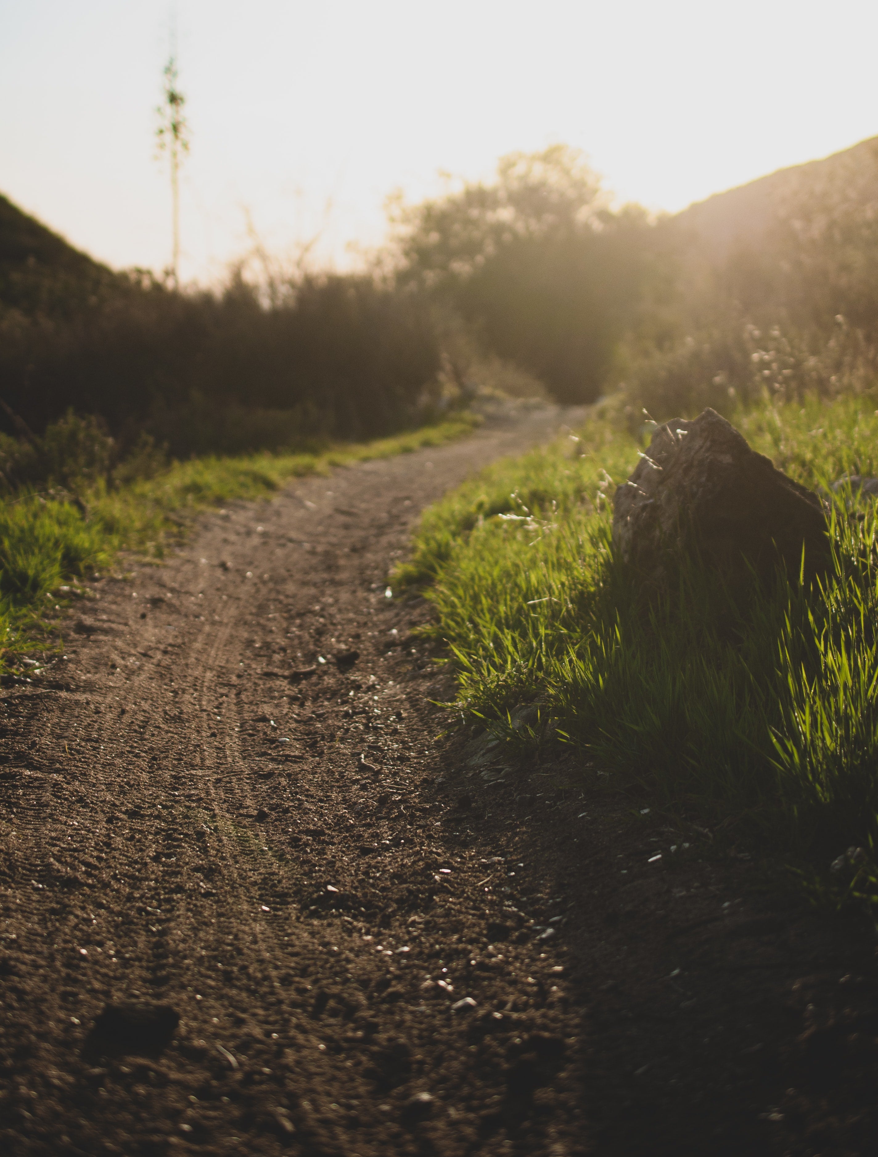 a dirt trail