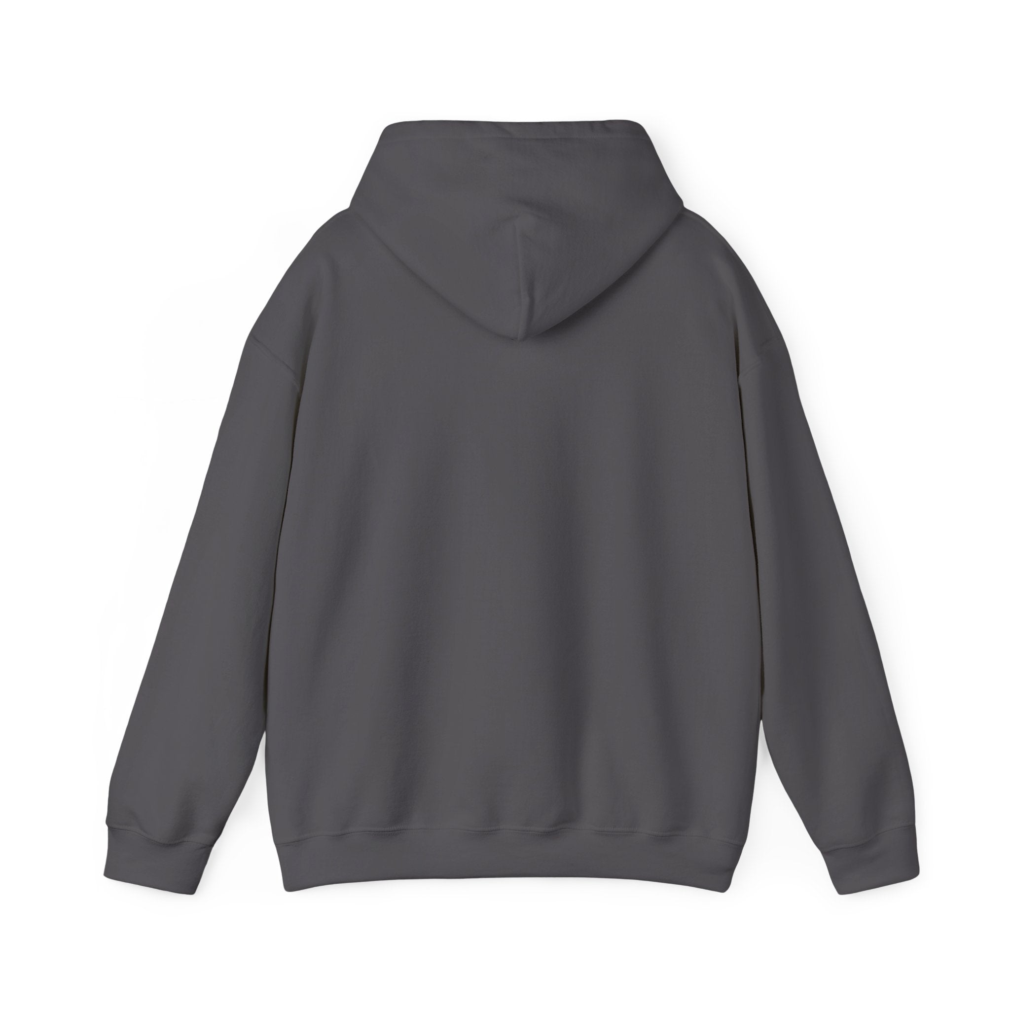 MEN'S HOODIE | MTB | WHITE/GREY/RED | S-5XL