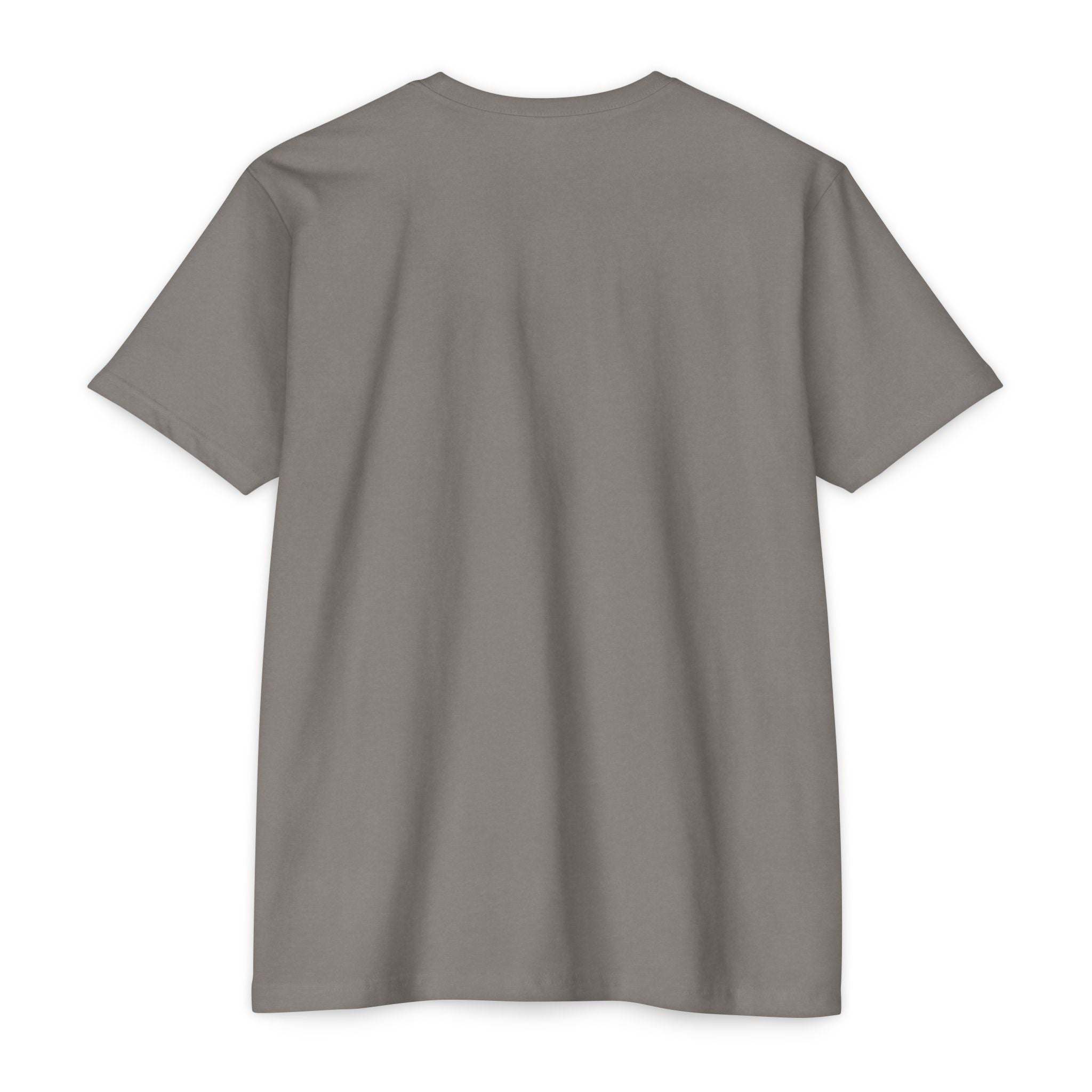 Back view of a plain gray t-shirt on a white background
