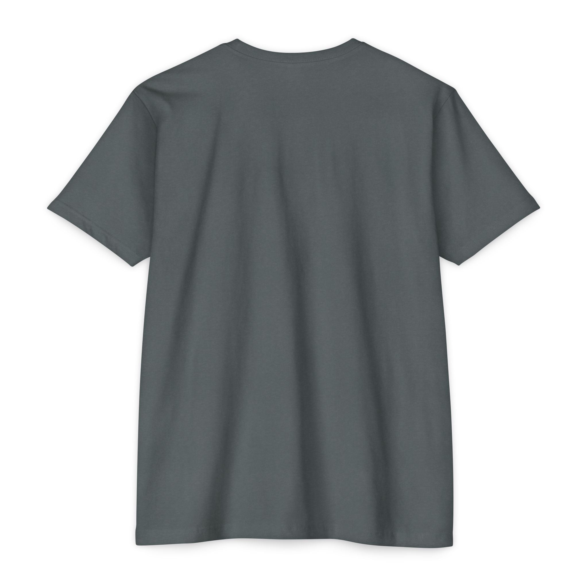 Back view of a plain gray t-shirt on a white background