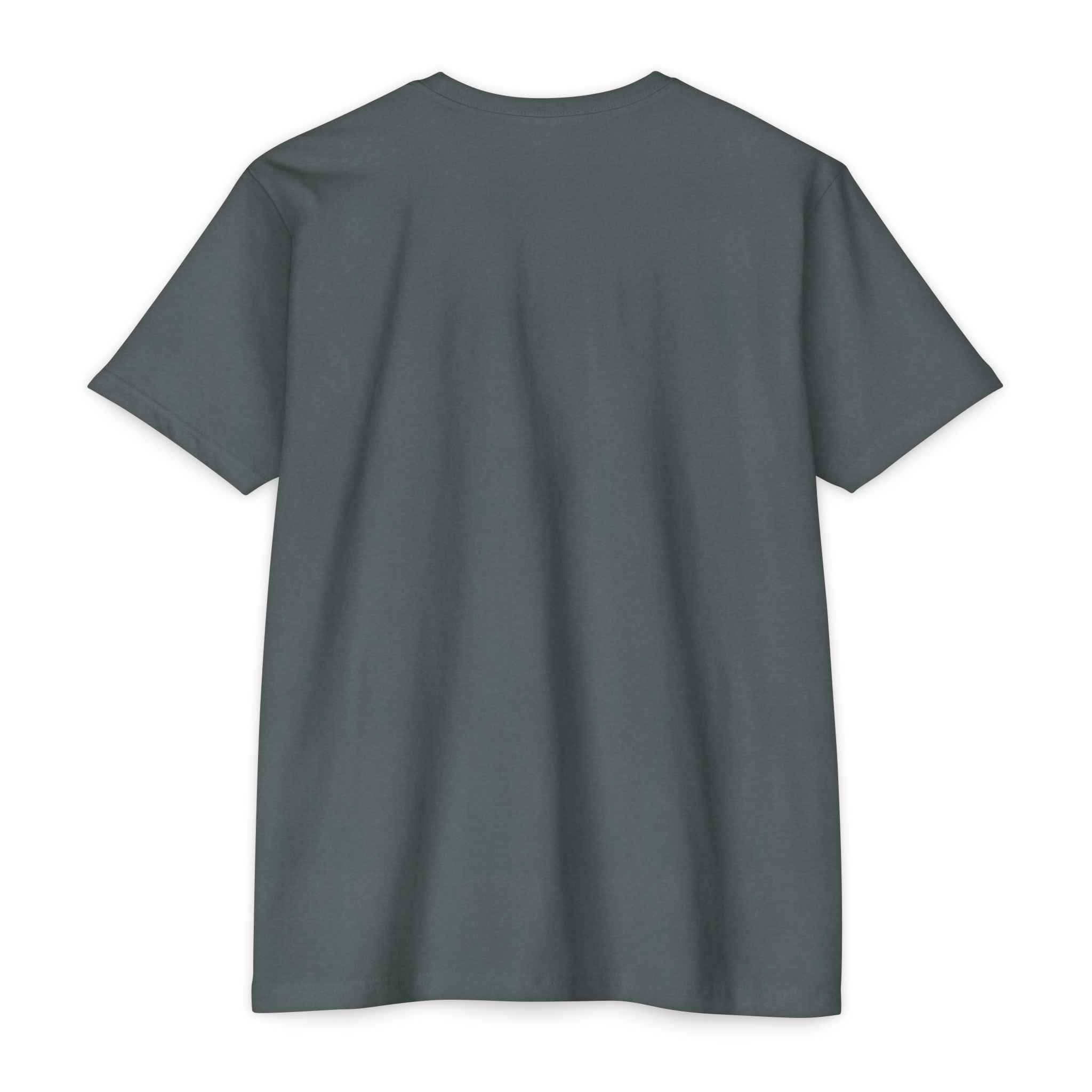 Back view of a plain gray t-shirt on a white background
