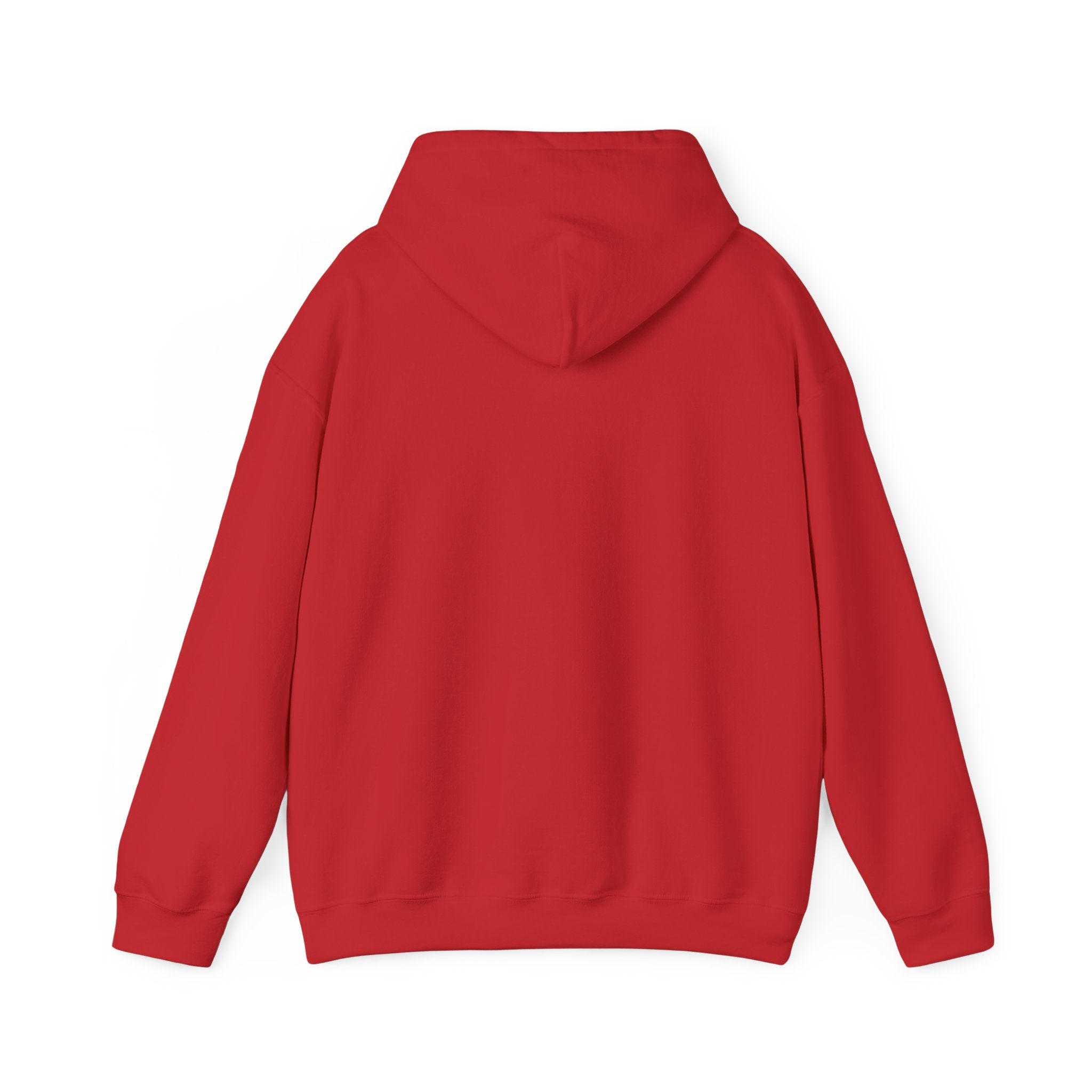 MEN'S HOODIE | MTB | WHITE/GREY/RED | S-5XL